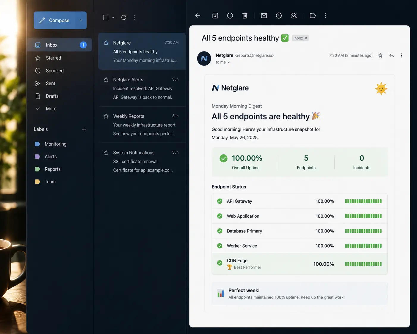 Infrastructure weekly digest email showing Monday morning uptime summary with endpoint status classifications and performance trends